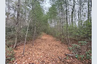 Tbd (Lot 1) Dugger Firetower Road, Lenoir, NC 28645 - Photo 3
