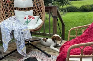 1063 Pell Rd, Westfield, NC 27053 - Photo 9