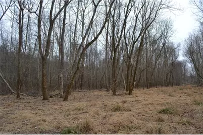 8.6 Acres Davie Lane, Madison, NC 27025 - Photo 13