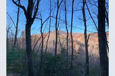 Tbd (Lot 19) Wolf Den Lane, Lenoir, NC 28645 - Photo 15