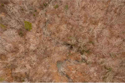 0 Dearmin Road, Westfield, NC 27053 - Photo 25