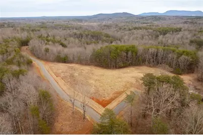 0 Dearmin Road, Westfield, NC 27053 - Photo 17