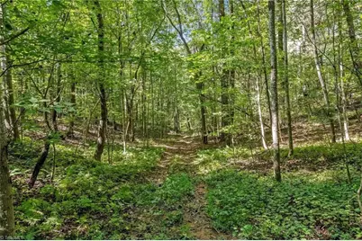 900 Brown Ridge Road, North Wilkesboro, NC 28659 - Photo 39