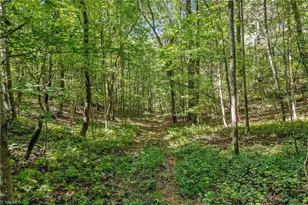 900 Brown Ridge Rd, North Wilkesboro, NC 28659 - Photo 39