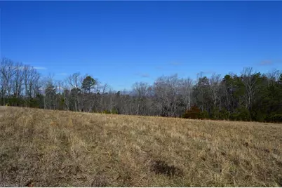 Tract G Hanging Rock Forest Road #G, Danbury, NC 27016 - Photo 13