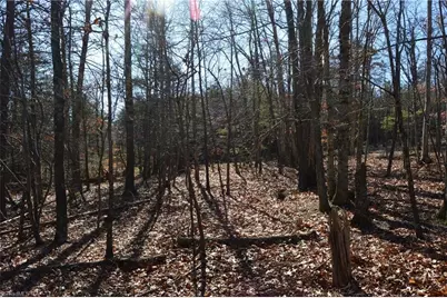 Tract G Hanging Rock Forest Road #G, Danbury, NC 27016 - Photo 21