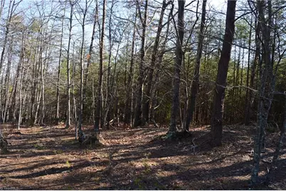 Tract G Hanging Rock Forest Road #G, Danbury, NC 27016 - Photo 11