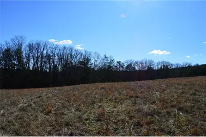 Tract G Hanging Rock Forest Road #G, Danbury, NC 27016 - Photo 15