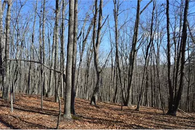 Tract G Hanging Rock Forest Road #G, Danbury, NC 27016 - Photo 19