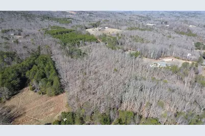 Tract H Hanging Rock Forest Road #H, Danbury, NC 27016 - Photo 9
