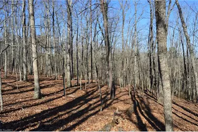 Tract H Hanging Rock Forest Road #H, Danbury, NC 27016 - Photo 21