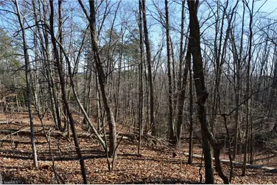 Tract H Hanging Rock Forest Road #H, Danbury, NC 27016 - Photo 13
