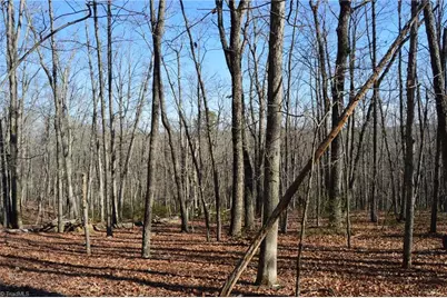 Tract H Hanging Rock Forest Road #H, Danbury, NC 27016 - Photo 19