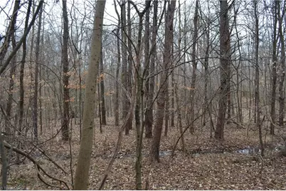 17.2 Acres Davie Lane, Madison, NC 27025 - Photo 11