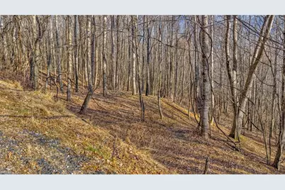 Tbd 20 Townview Street, West Jefferson, NC 28694 - Photo 11