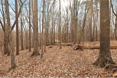 174 Mistral Lane, Denton, NC 27239 - Photo 3