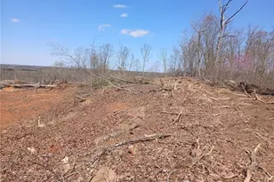 000 Holder Inman Rd, Randleman, NC 27317 - Photo 1