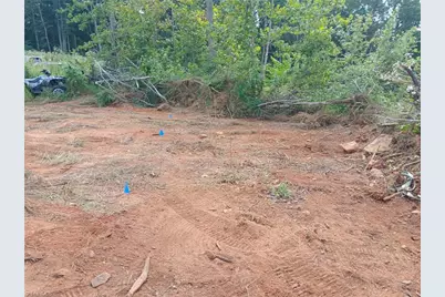 000 Holder Inman Road, Randleman, NC 27317 - Photo 3