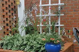 210 Coventry Park Ln, Winston-Salem, NC 27104 - Photo 29