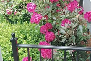 210 Coventry Park Ln, Winston-Salem, NC 27104 - Photo 33