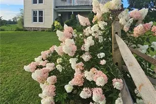 7561 Snake Creek Rd, Hillsville, VA 24343 - Photo 7