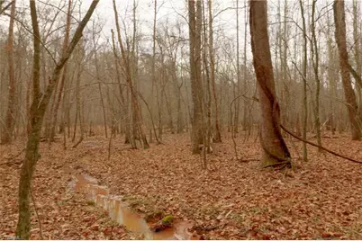 3361 Nc Highway 66 S, Westfield, NC 27053 - Photo 11