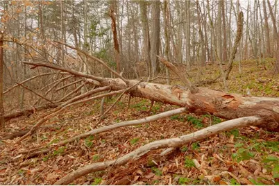 3361 Nc Highway 66 S, Westfield, NC 27053 - Photo 13