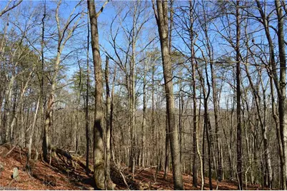 Tract C Nc Highway 89 W #Tract C, Danbury, NC 27016 - Photo 9