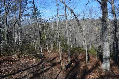 Tract C Nc Highway 89 W #Tract C, Danbury, NC 27016 - Photo 3