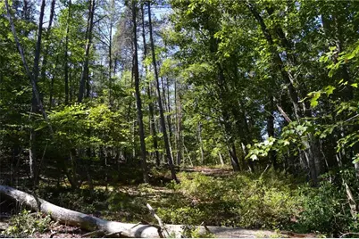 Tract C Nc Highway 89 W #Tract C, Danbury, NC 27016 - Photo 21