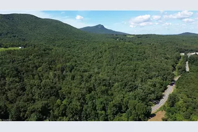 Tract C Nc Highway 89 W #Tract C, Danbury, NC 27016 - Photo 11