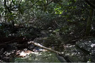 Tract C Nc Highway 89 W #Tract C, Danbury, NC 27016 - Photo 23