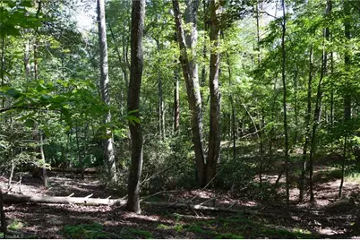 Tract C Nc Highway 89 W #Tract C, Danbury, NC 27016 - Photo 19