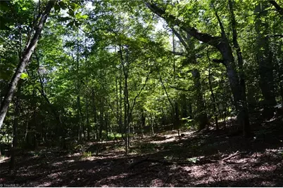 Tract C Nc Highway 89 W #Tract C, Danbury, NC 27016 - Photo 29