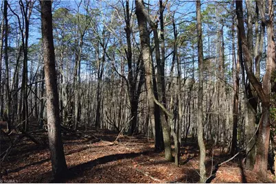 Tract C Nc Highway 89 W #Tract C, Danbury, NC 27016 - Photo 7