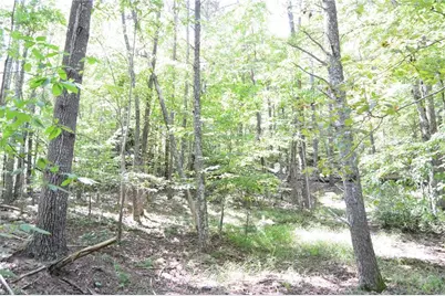 Tract C Nc Highway 89 W #Tract C, Danbury, NC 27016 - Photo 17