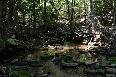 Tract C Nc Highway 89 W #Tract C, Danbury, NC 27016 - Photo 27