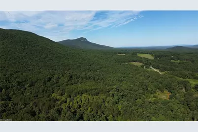 Tract E Hanging Rock Forest Road #Tract E, Danbury, NC 27016 - Photo 23