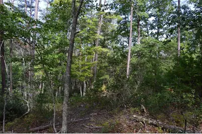 Tract E Hanging Rock Forest Road #Tract E, Danbury, NC 27016 - Photo 15
