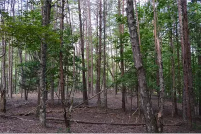 Tract E Hanging Rock Forest Road #Tract E, Danbury, NC 27016 - Photo 11