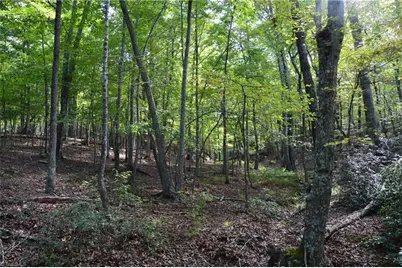 Tract E Hanging Rock Forest Road #Tract E, Danbury, NC 27016 - Photo 1