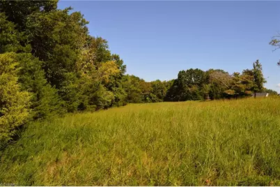 Tract D Hanging Rock Forest Road #Tract D, Danbury, NC 27016 - Photo 3