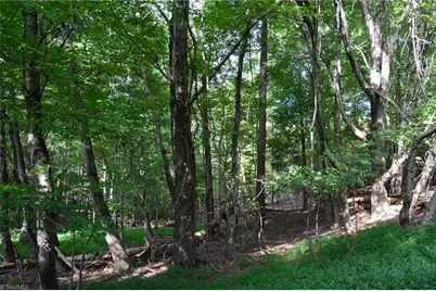 Tract F Hanging Rock Forest Road #Tract F, Danbury, NC 27016 - Photo 5