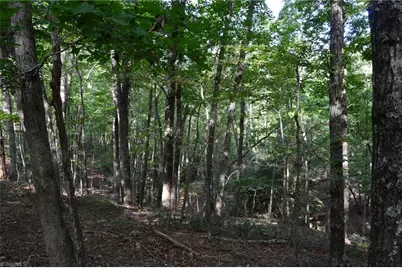 Tract F Hanging Rock Forest Road #Tract F, Danbury, NC 27016 - Photo 9