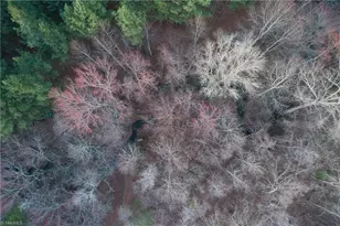 610 Duck Dr, China Grove, NC 28023 - Photo 35