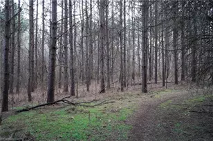 610 Duck Dr, China Grove, NC 28023 - Photo 31