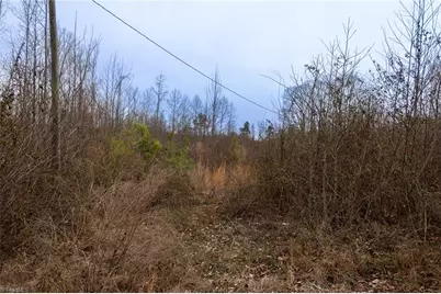 0 Bill Medlin Road, Lexington, NC 27292 - Photo 11