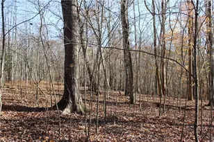 1662 Ralph Joyce Rd, Sandy Ridge, NC 27046 - Photo 29