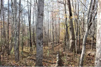 1662 Ralph Joyce Road, Sandy Ridge, NC 27046 - Photo 29