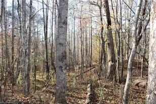 1662 Ralph Joyce Rd, Sandy Ridge, NC 27046 - Photo 29